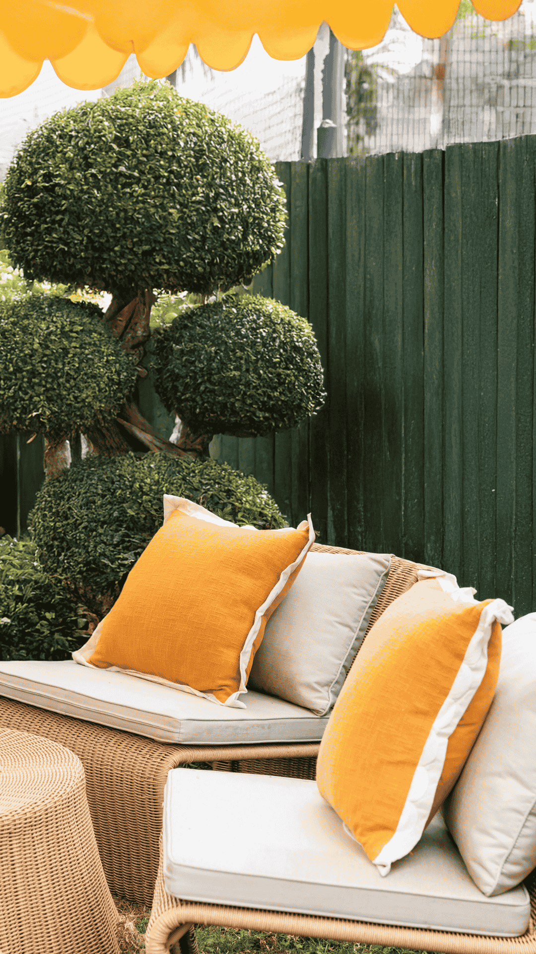 Albert Reserve Masonry Image Gallery - 1080 x 1920