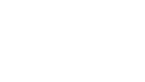 Valiant Logo Stacked Reversed-1