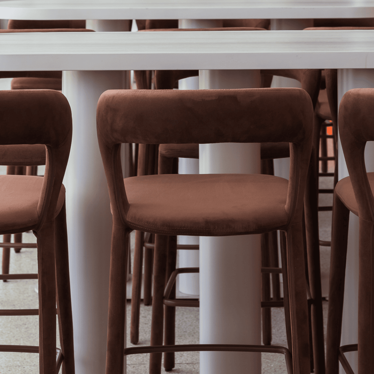 Chloe Webpage Images cinnamon close uo