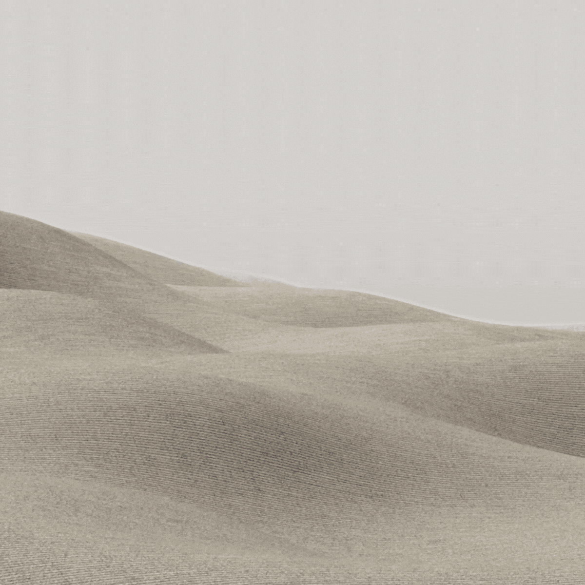 Marnie Webpage Assets (1)