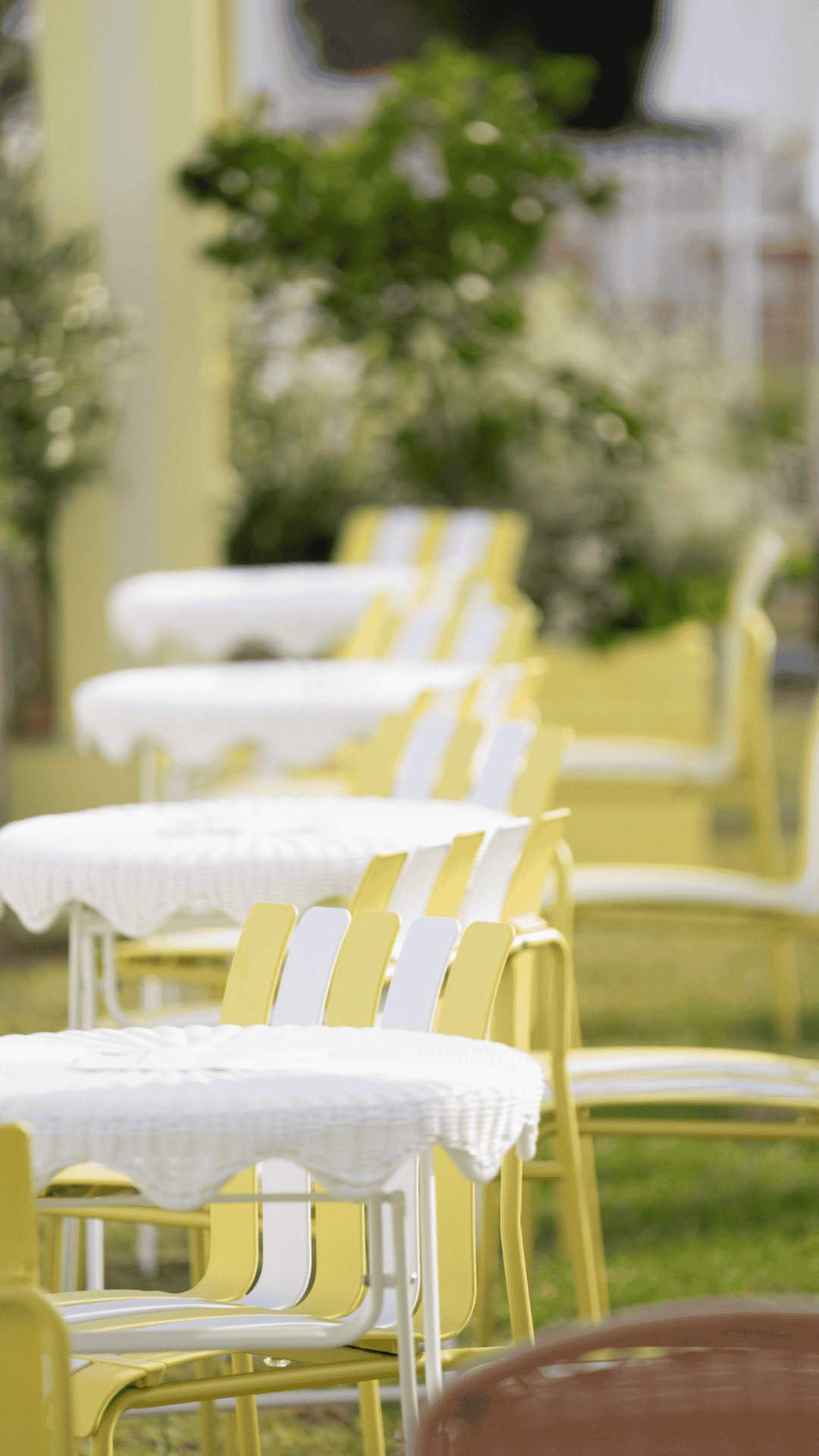 pac-fair-magic-m-2026-1Masonry Image Gallery - 1080 x 1920 (5)