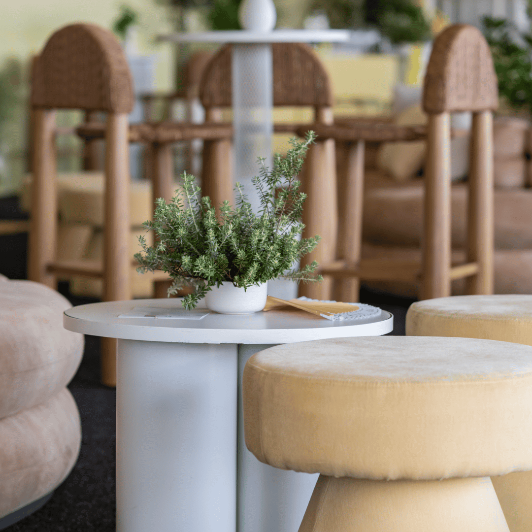 Polo magic millions - furntiure hire