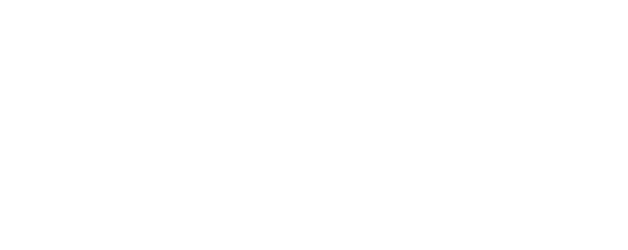 Valiant Logo inline Reversed