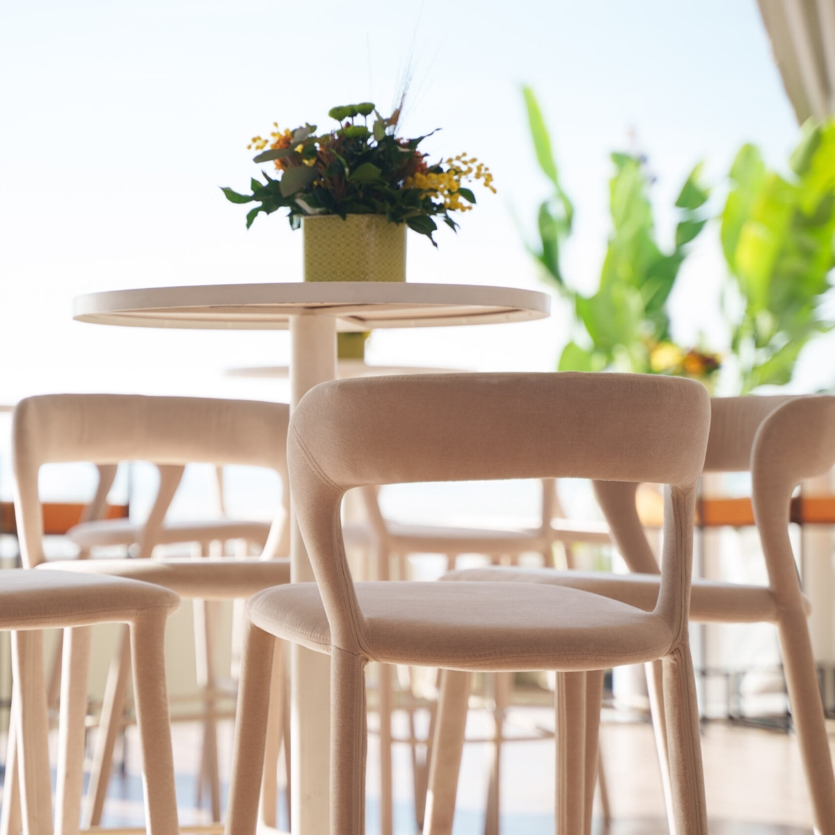 Untitled design (8)-1