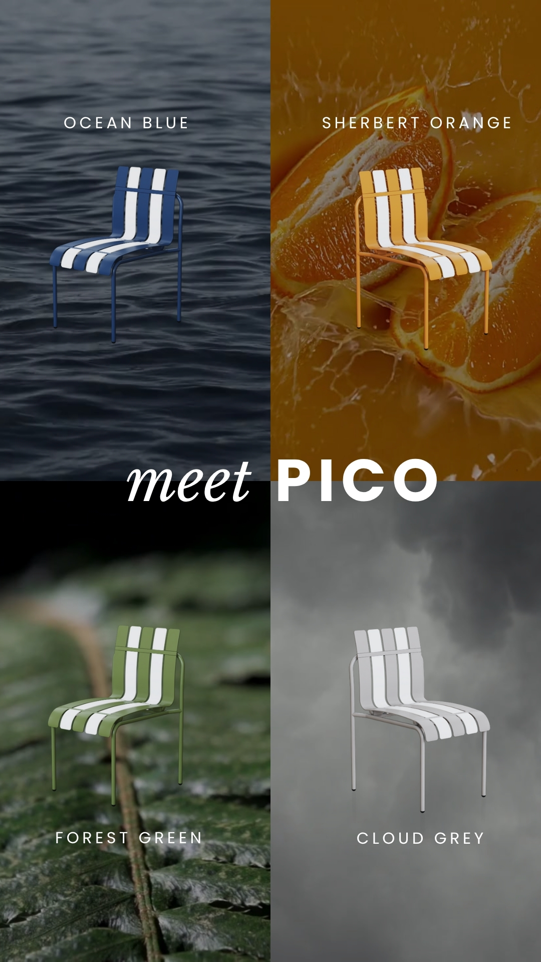meet pico quadrant animation